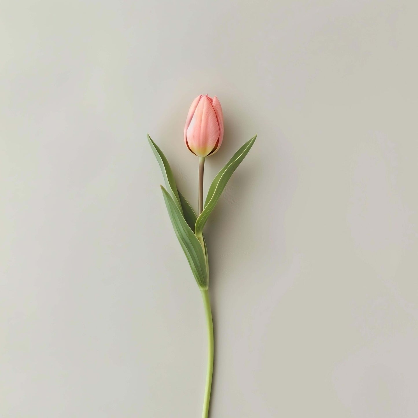 Trup de floare