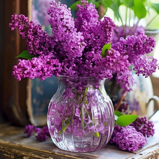 Răsuflarea primăveri