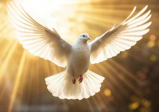 Cu aripile larg deschise